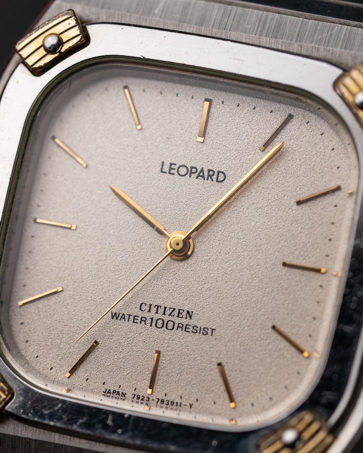 Citizen Leopard